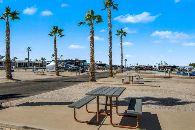 An RV park with palm trees, gravel lots, parked RVs, and a picnic table on a concrete pad under a clear blue sky.