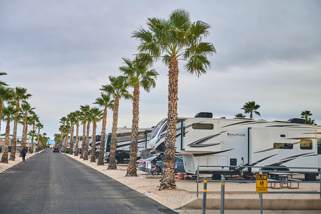 A row of RVs parked along a paved road lined with palm trees under an overcast sky, with a "SLOW" traffic sign in the foreground.
