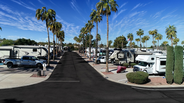 A paved road runs through an RV park lined with palm trees, with multiple RVs and vehicles parked on either side under a clear blue sky.