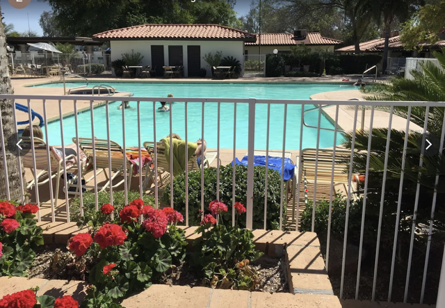 A fenced outdoor pool area with people lounging on chairs, swimmers in the water, and red flowers in the foreground.