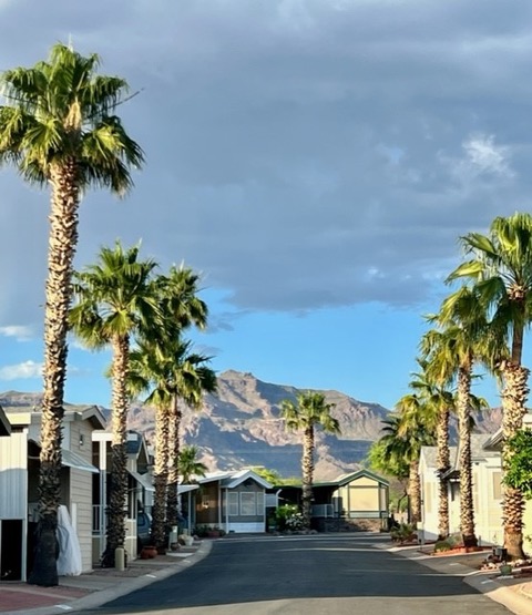 A paved street lined with palm trees and mobile homes, with a mountain range visible in the background under a partly cloudy sky.