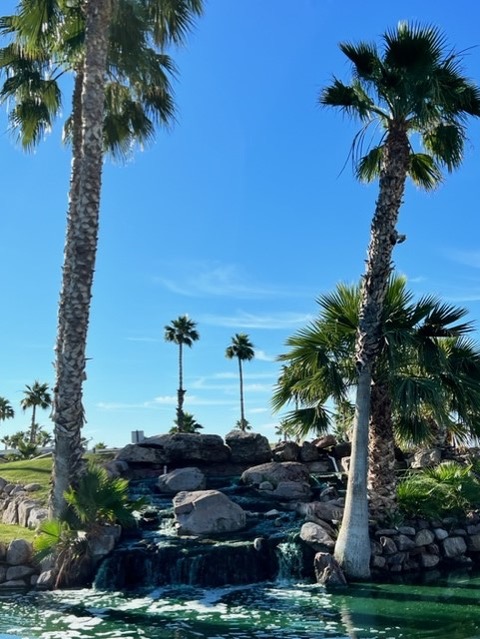 Two tall palm trees frame a small waterfall flowing over rocks into a green pond, with more palm trees and a clear blue sky in the background.